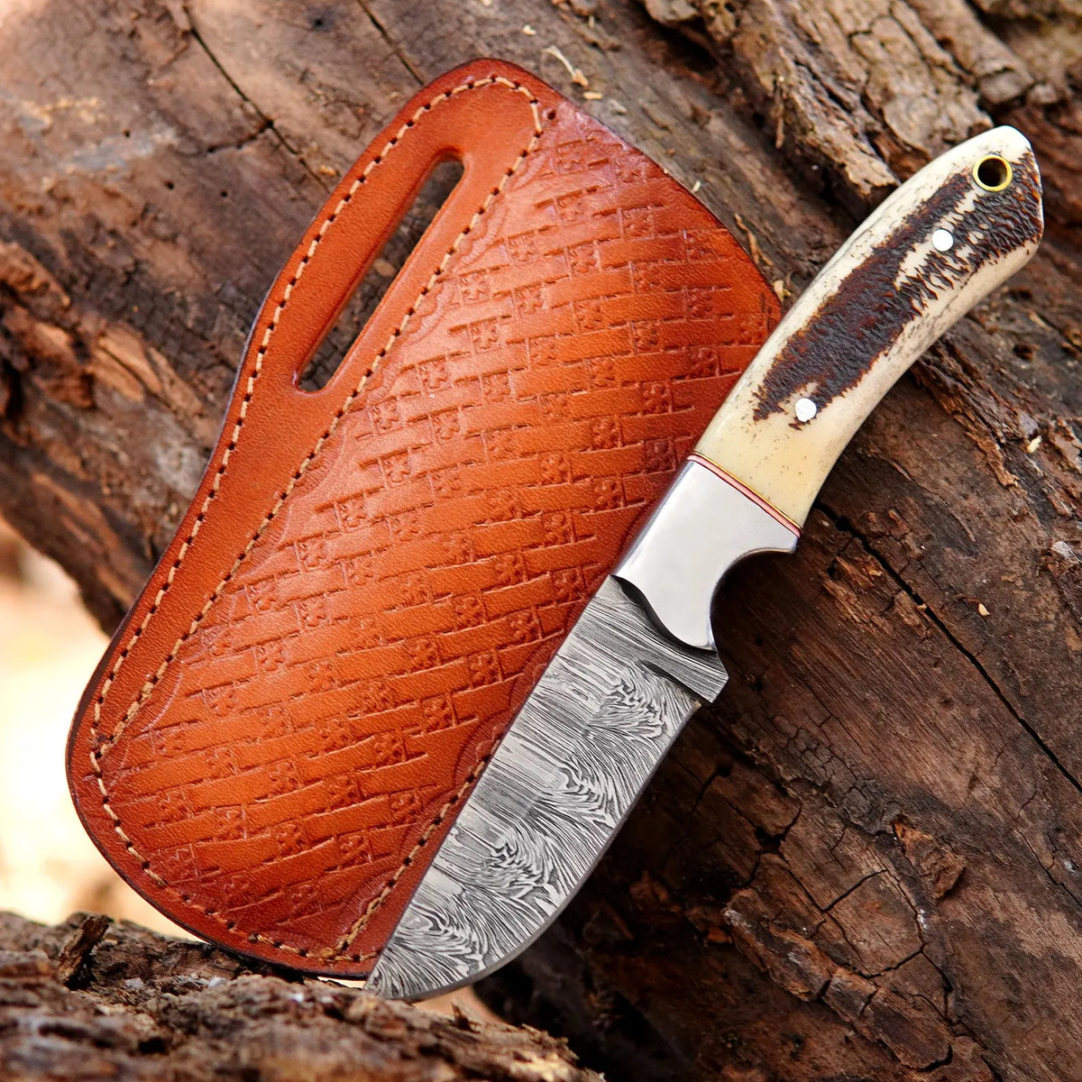 Handmade Bushcraft Damascus Steel Hunting Skinner Knife Stag Horn Handle with Sheath