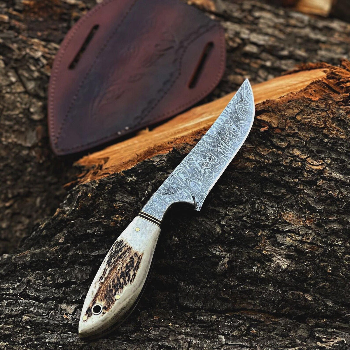 Premium Damascus Fixed Blade Hunting Knife with Antler Handle