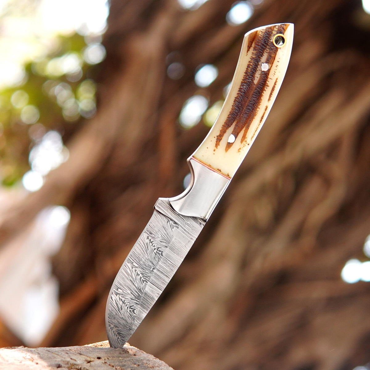 Handmade Bushcraft Damascus Steel Hunting Skinner Knife Stag Horn Handle with Sheath